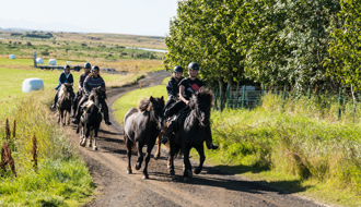 Randonnées équestres et expéditions à cheval en Islande - RANDO CHEVAL