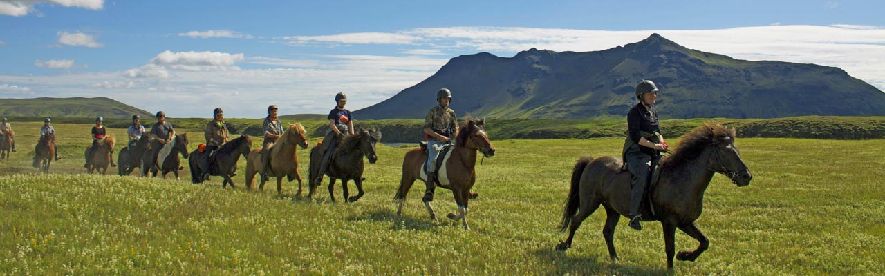 Voyage à cheval en ISLANDE - Randonnée équestre organisée par Randocheval