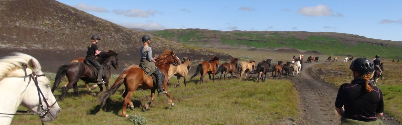 Voyage à cheval en ISLANDE - Randonnée équestre organisée par Randocheval