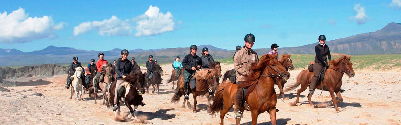 Voyage à cheval en ISLANDE - Randonnée équestre organisée par Randocheval