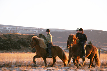 Voyage à cheval sous les aurores boréales en ISLANDE - Randonnée équestre organisée par Randocheval