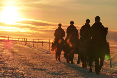 Voyage à cheval sous les aurores boréales en ISLANDE - Randonnée équestre organisée par Randocheval