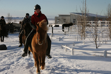 Voyage à cheval sous les aurores boréales en ISLANDE - Randonnée équestre organisée par Randocheval