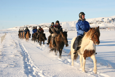 Voyage à cheval sous les aurores boréales en ISLANDE - Randonnée équestre organisée par Randocheval