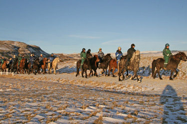 Voyage à cheval sous les aurores boréales en ISLANDE - Randonnée équestre organisée par Randocheval