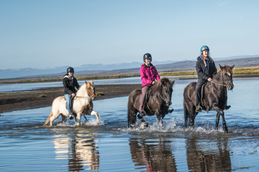 Voyage à cheval en ISLANDE - Randonnée équestre organisée par Randocheval