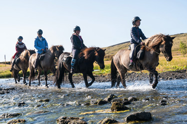 Voyage à cheval en ISLANDE - Randonnée équestre organisée par Randocheval