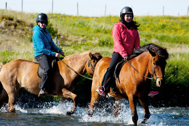 Voyage à cheval en ISLANDE - Randonnée équestre organisée par Randocheval