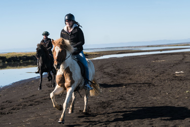 Voyage à cheval en ISLANDE - Randonnée équestre organisée par Randocheval