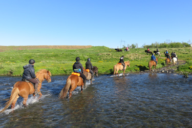 Voyage à cheval en ISLANDE - Randonnée équestre organisée par Randocheval