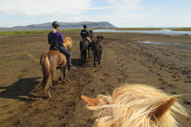 Voyage à cheval en ISLANDE - Randonnée équestre organisée par Randocheval