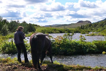 Voyage à cheval en ISLANDE - Randonnée équestre organisée par Randocheval