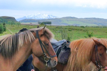 Voyage à cheval en ISLANDE - Randonnée équestre organisée par Randocheval