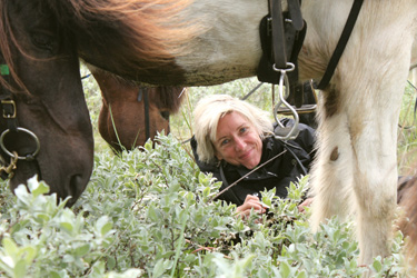 Voyage à cheval en ISLANDE - Randonnée équestre organisée par Randocheval