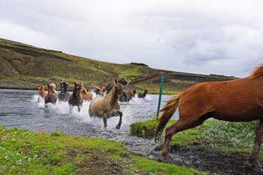 Voyage à cheval en ISLANDE - Randonnée équestre organisée par Randocheval