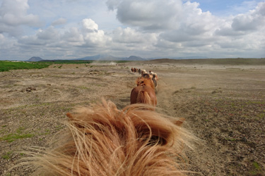 Voyage à cheval en ISLANDE - Randonnée équestre organisée par Randocheval