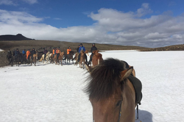 Voyage à cheval en ISLANDE - Randonnée équestre organisée par Randocheval