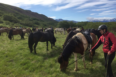 Voyage à cheval en ISLANDE - Randonnée équestre organisée par Randocheval