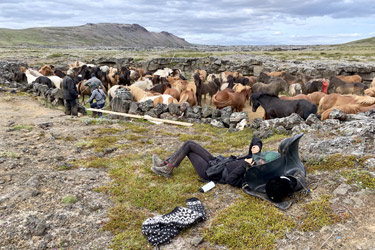 Voyage à cheval en ISLANDE - Randonnée équestre organisée par Randocheval