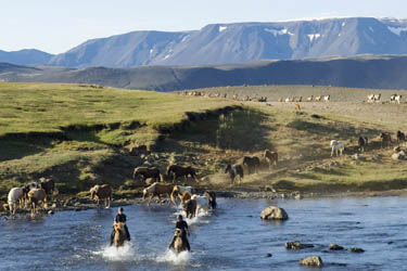 Voyage à cheval en ISLANDE - Randonnée équestre organisée par Randocheval