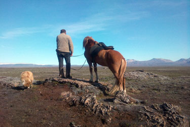 Voyage à cheval en ISLANDE - Randonnée équestre organisée par Randocheval