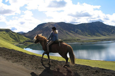 Voyage à cheval en ISLANDE - Randonnée équestre organisée par Randocheval