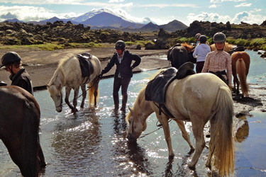 Voyage à cheval en ISLANDE - Randonnée équestre organisée par Randocheval