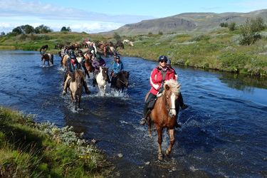 Voyage à cheval en ISLANDE - Randonnée équestre organisée par Randocheval