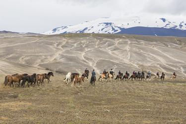 Voyage à cheval en ISLANDE - Randonnée équestre organisée par Randocheval