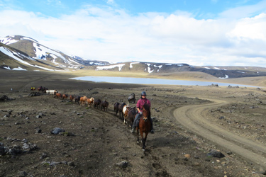 Voyage à cheval en ISLANDE - Randonnée équestre organisée par Randocheval