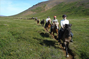 Voyage à cheval en ISLANDE - Randonnée équestre organisée par Randocheval