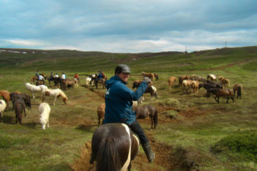 Voyage à cheval en ISLANDE - Randonnée équestre organisée par Randocheval