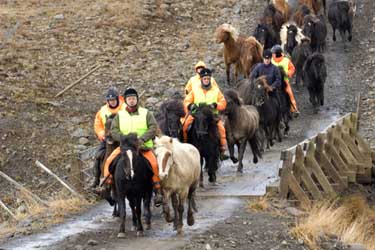 Voyage à cheval en ISLANDE - Randonnée équestre organisée par Randocheval