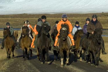 Voyage à cheval en ISLANDE - Randonnée équestre organisée par Randocheval