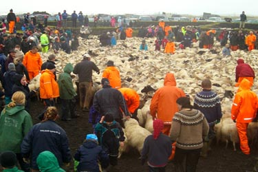 Voyage à cheval en ISLANDE - Randonnée équestre organisée par Randocheval