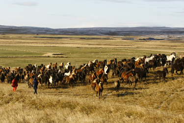 Voyage à cheval en ISLANDE - Randonnée équestre organisée par Randocheval