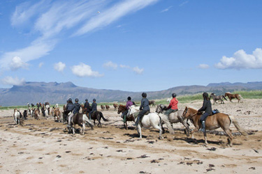 Voyage à cheval en ISLANDE - Randonnée équestre organisée par Randocheval