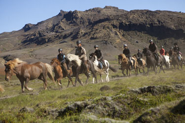 Voyage à cheval en ISLANDE - Randonnée équestre organisée par Randocheval