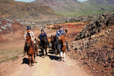 Randonnées équestres et expéditions à cheval en Islande - RANDO CHEVAL