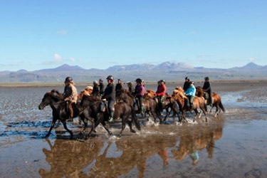 Voyage à cheval en ISLANDE - Randonnée équestre organisée par Randocheval