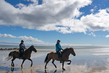 Voyage à cheval en ISLANDE - Randonnée équestre organisée par Randocheval