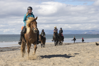 Voyage à cheval en ISLANDE - Randonnée équestre organisée par Randocheval