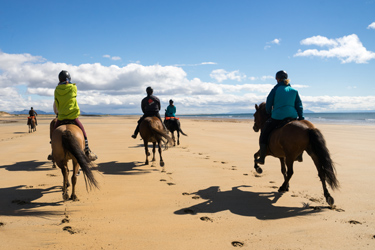 Voyage à cheval en ISLANDE - Randonnée équestre organisée par Randocheval