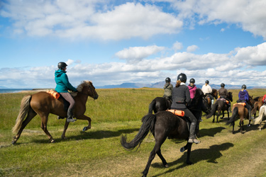 Voyage à cheval en ISLANDE - Randonnée équestre organisée par Randocheval