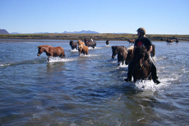 Voyage à cheval en ISLANDE - Randonnée équestre organisée par Randocheval