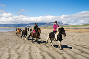 Voyage à cheval en ISLANDE - Randonnée équestre organisée par Randocheval