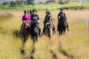 Voyage à cheval en ISLANDE - Randonnée équestre organisée par Randocheval