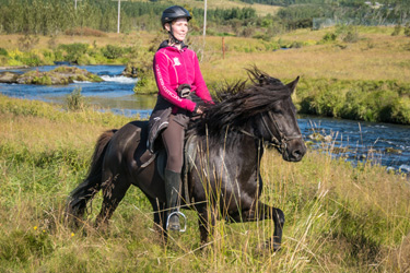 Voyage à cheval en ISLANDE - Randonnée équestre organisée par Randocheval