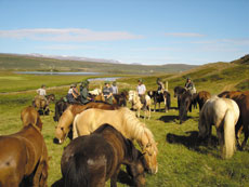 Voyage à cheval en ISLANDE - Randonnée équestre organisée par Randocheval