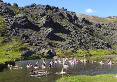 Voyage à cheval en ISLANDE - Randonnée équestre organisée par Randocheval